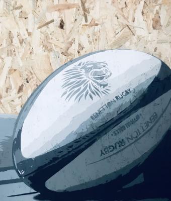 rugby