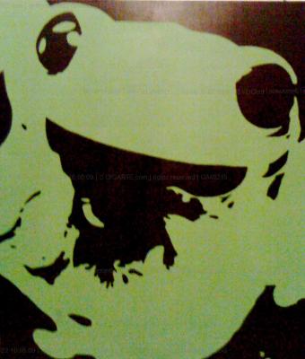 frog