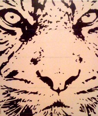 tigre-bianca