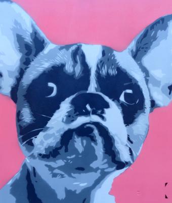 bulldog-francesce