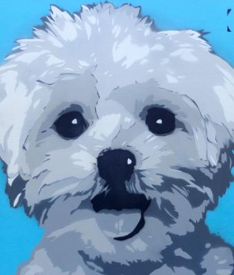 maltese