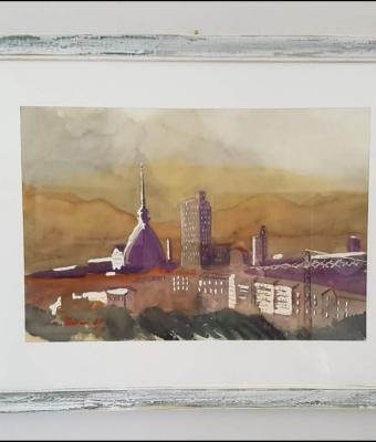 polveri-sottili-su-torino