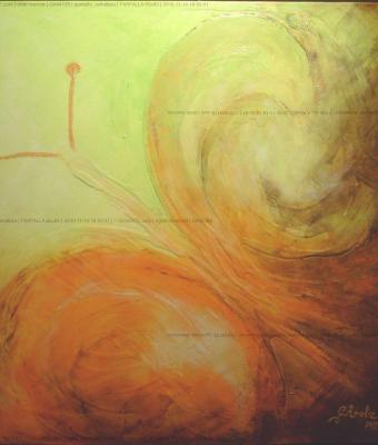 farfalla-60x60