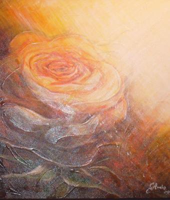 rosa