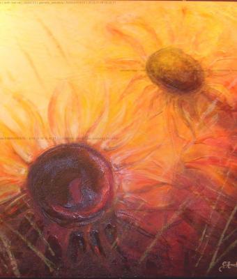 girasoli-gialli-e-rossi