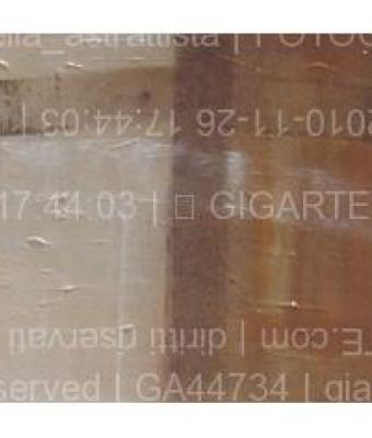 fotogrammi