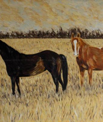 cavalli-nella-prateria