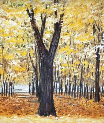 parco-autunnale