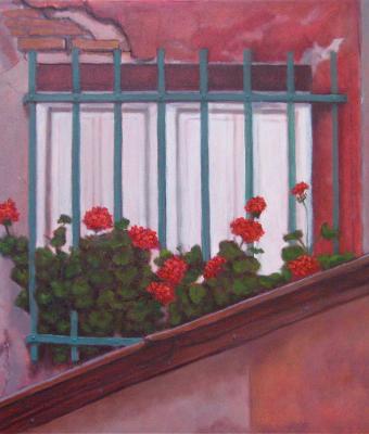 quotfinestrella-fioritaquot
