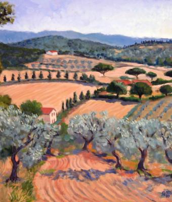 paesaggio-toscano-a-castagneto