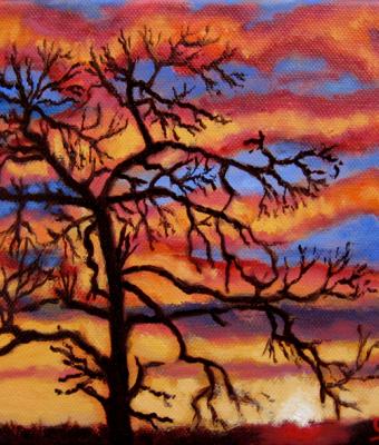 un-albero-al-tramonto
