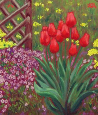 tulipani-tra-le-voci-di-primav