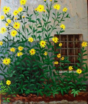 finestrella-tra-i-fiori-gialli