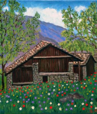 due-baite-alpine