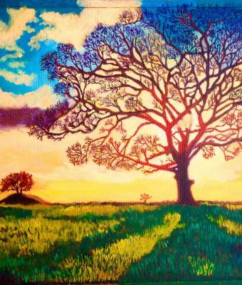 albero-alla-luce-del-tramonto
