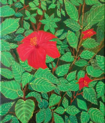 fiori-di-hibiscus