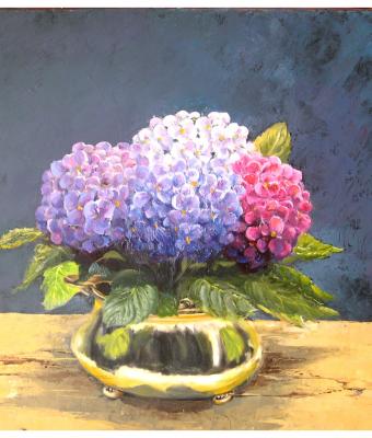 ortensie