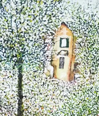 la-casetta-nel-bosco