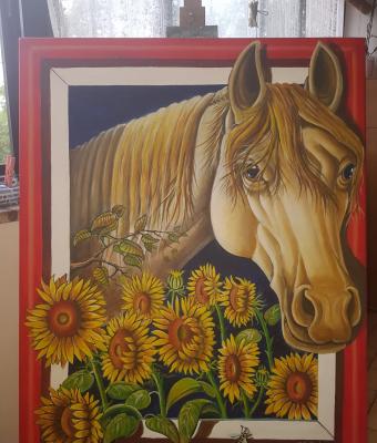 girasoli