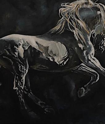 cavallo