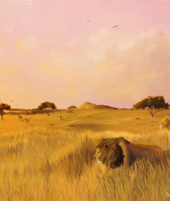la-mia-africa