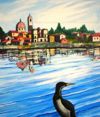 il-cormorano