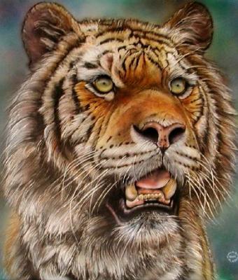 tigre-siberiana