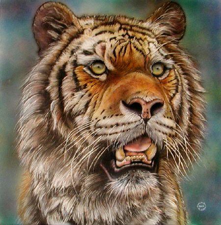 tigre-siberiana