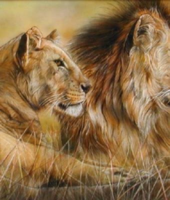 savana