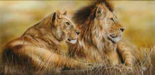 savana