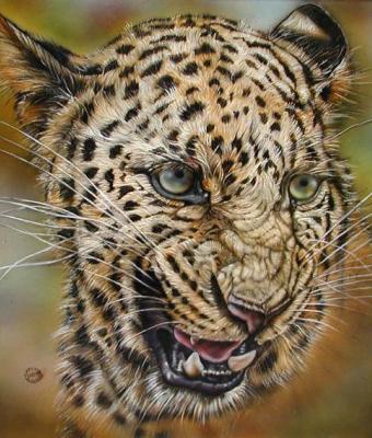 leopardo