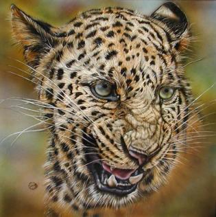 leopardo