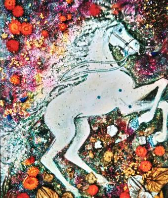 cavallo-bianco
