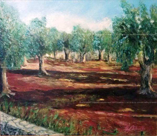 uliveto-di-puglia