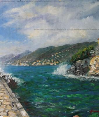maestrale-all-entrata-del-port