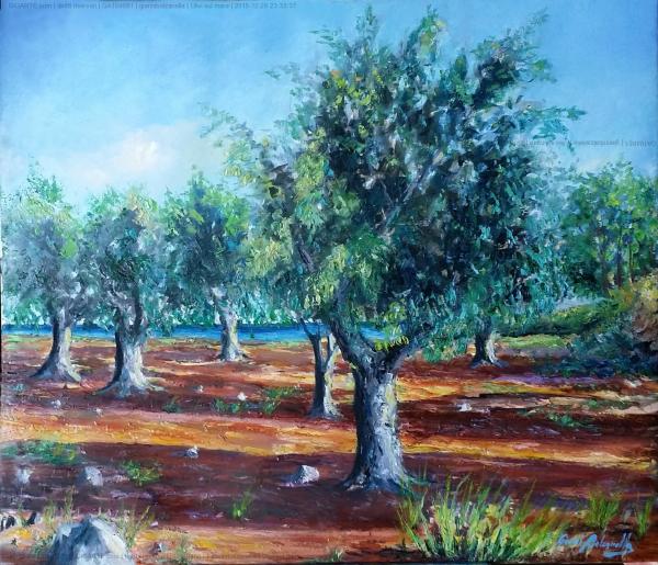 ulivi-sul-mare
