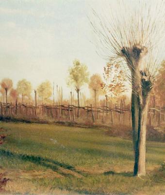 autunno-nei-campi