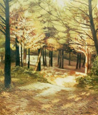 nella-pineta-in-primavera