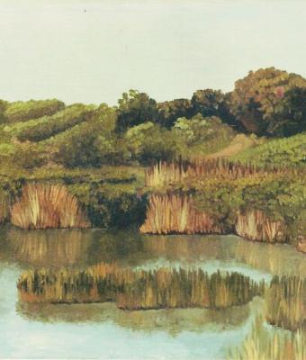 porto-caleri-in-primavera