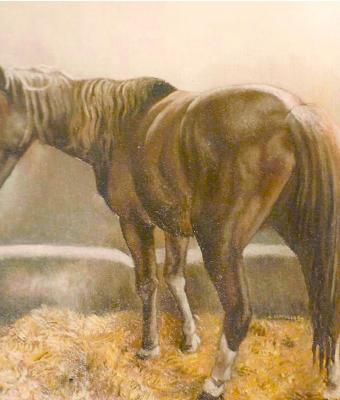 cavallo-nella-stalla