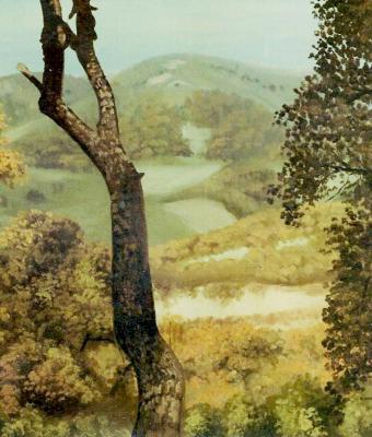 sardegna-tra-gli-alberi