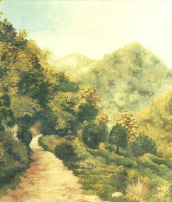 sentiero-in-sardegna