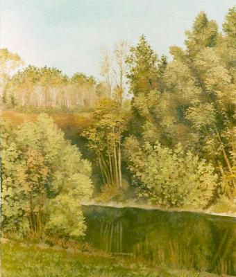 tronchi-sottili-in-autunno