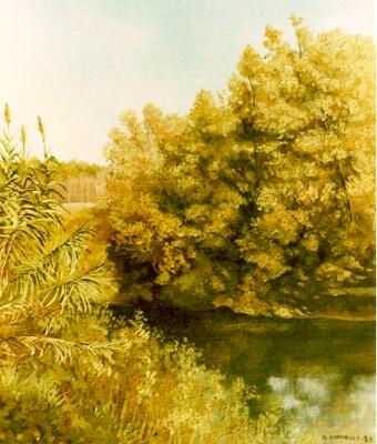 frammento-d-autunno