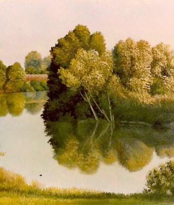 gli-alberi-nell-acqua