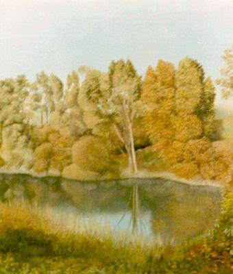 il-tronco-chiaro-in-autunno