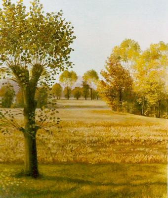 salice-in-autunno