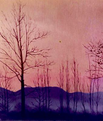tramonto-tra-i-rami