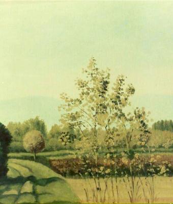 vento-tra-le-foglie