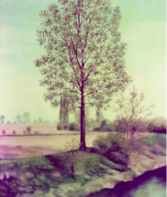 primi-segni-di-primavera